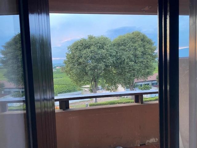 Ferienwohnung 10 Minuti Dal Lago Di Garda E Da Gardaland Castelnuovo del Garda Exterior foto